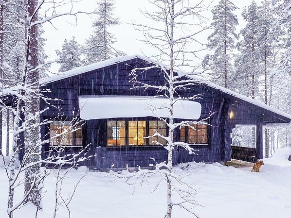 Eksteriør