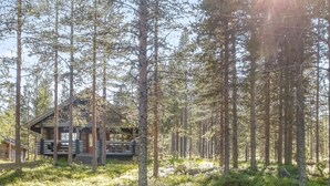 A cabin surrounded by tall trees, a fire pit with logs, and a clear sky.