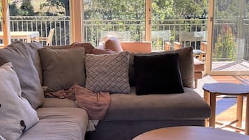 TV connectée, cheminée, lecteur de DVD, table de tennis de table