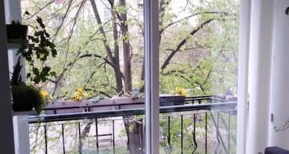Lovely 2-bed Apartment in Novi Sad