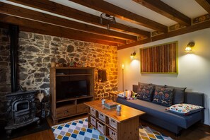 TV connectée, cheminée