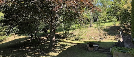 Overnatningsstedets område