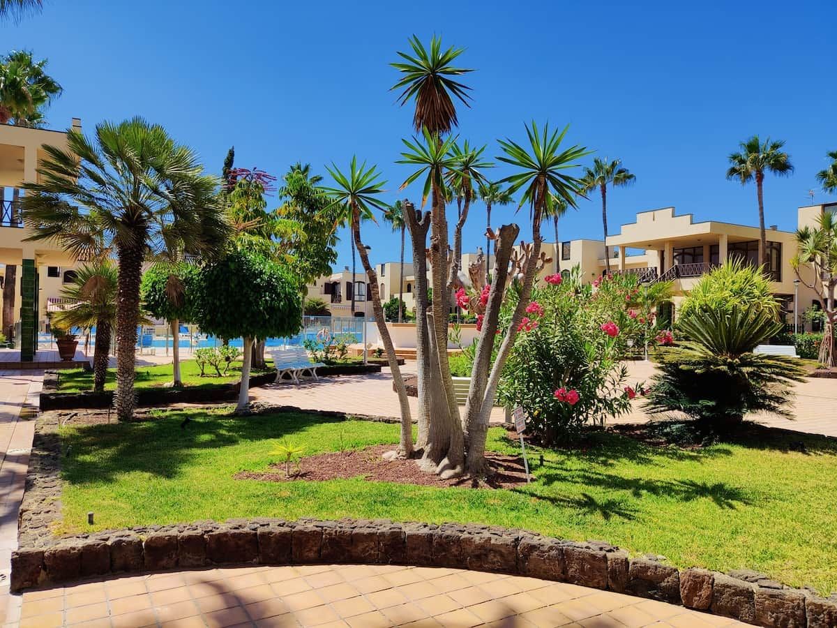 A resort courtyard with palm trees, a swimming pool, and a stone pathway.