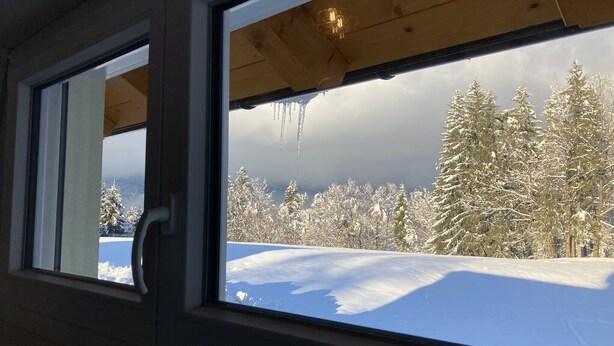 Una ventana con vista a árboles nevados y un cielo despejado.