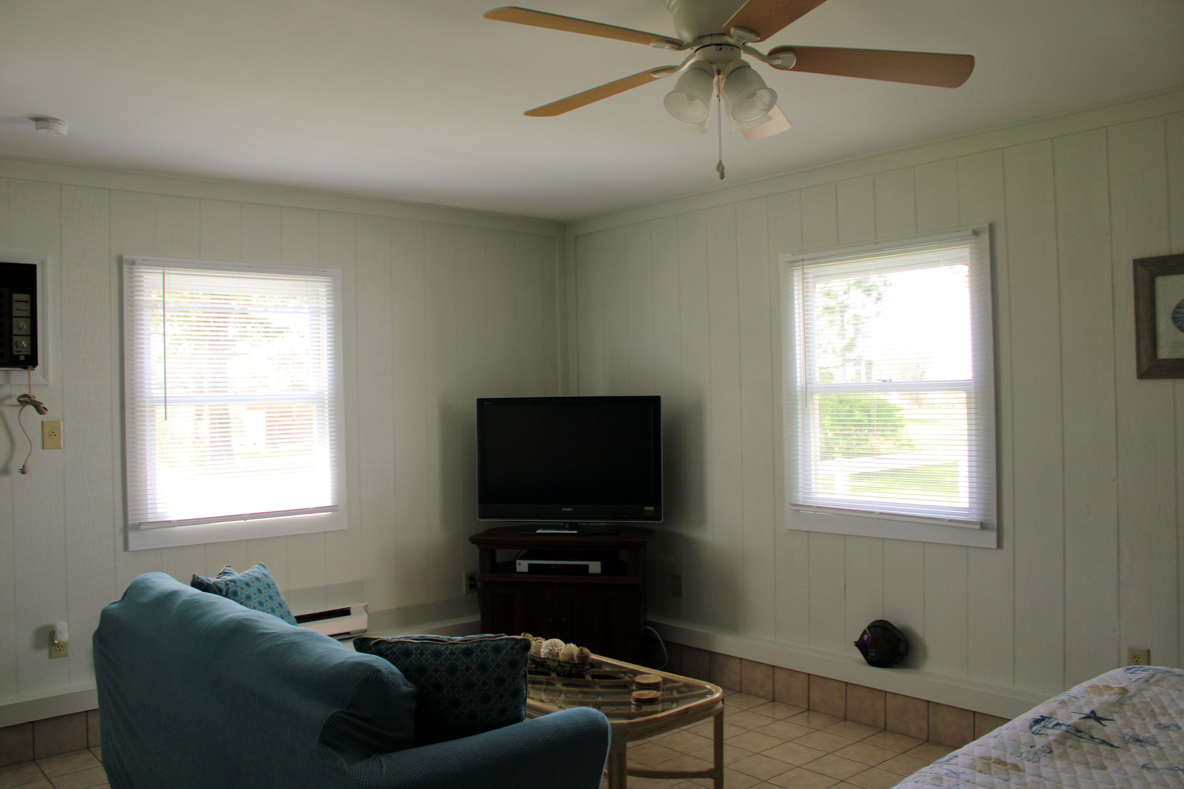 A living room with a television on a stand, a ceiling fan, and two windows with blinds.