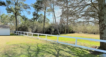 Shore Bird - 1 BR Studio Cottage with open floor plan. NO LINENS PROVIDED