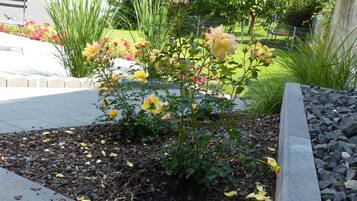 Duplex | Terrace/patio