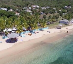 Relax in a tranquil beachside setting surrounded by lush greenery and palm trees.