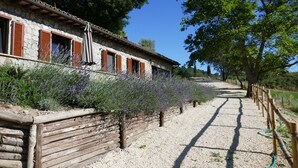 Edifici de pedra rústic amb persianes de fusta, un camí de grava i una tanca de fusta.