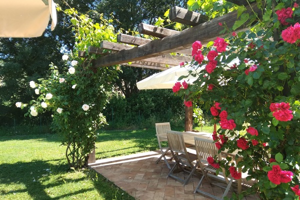 The pergola by the pool
