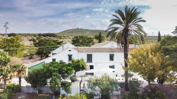 A white building with a tiled roof, surrounded by greenery and a palm tree. - Cortijo Don Simon, ideal for families and friends (pet friendly) (Cabra)