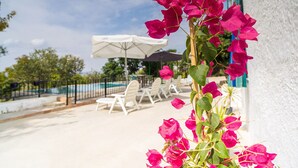 A poolside area with lounge chairs and umbrellas, a white wall, and pink bougainvillea flowers. - Cortijo Don Simon, ideal for families and friends (pet friendly) (Cabra)