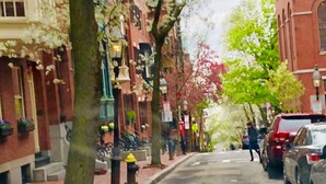 A street lined with trees and parked cars. - Gorgeous Beacon Hills Studio next to State house (Boston)