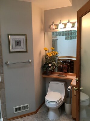 Shower, hair dryer, towels