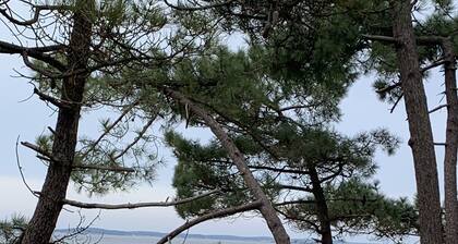 La Teste Bassin d'Arcachon quiet villa fully equipped for 6 people