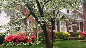 A residential area with brick houses, a well-maintained lawn, and flowering shrubs. - Convenient to every event that Louisville hosts! (Audubon Park)