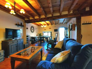 Fernseher, Kamin, DVD-Player, Musikbibliothek