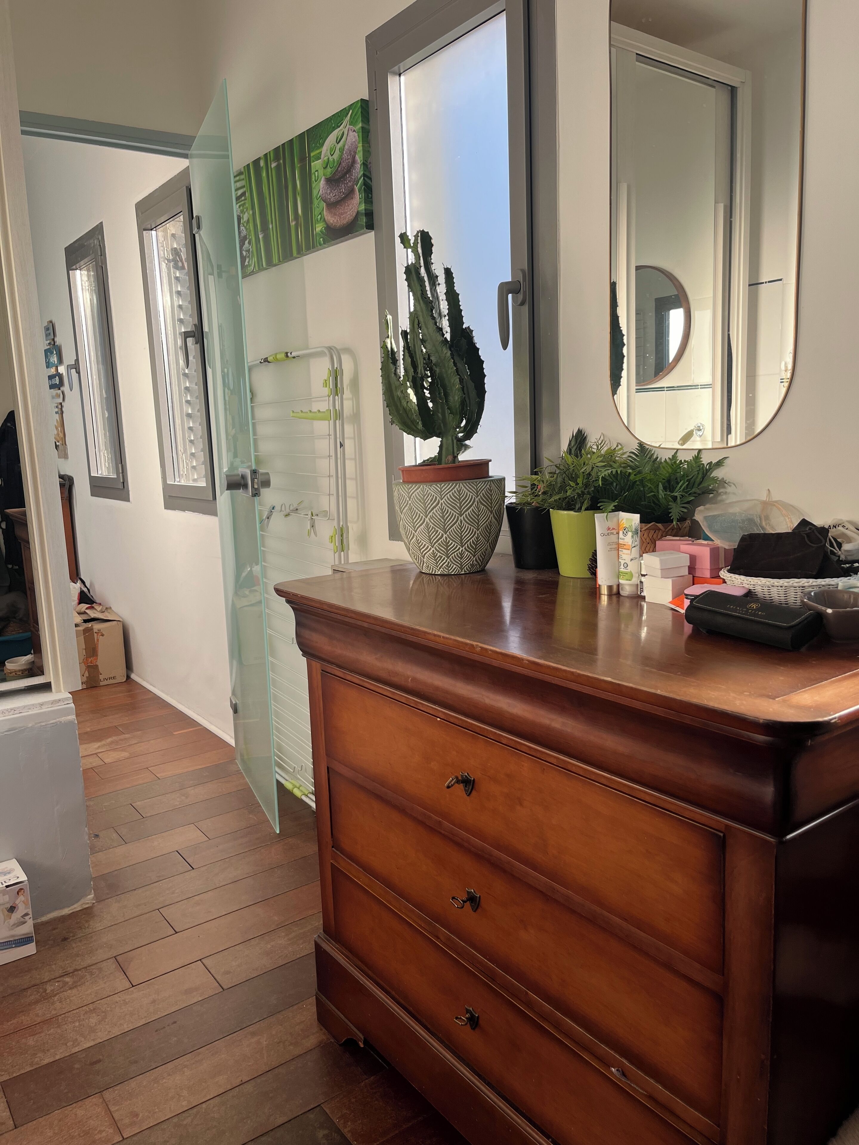 A modern bathroom with a wooden vanity, a large mirror, and a potted cactus.