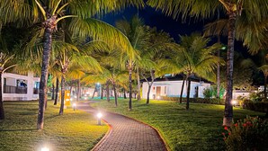 A nighttime pathway lined with palm trees and illuminated by street lamps, leading to a building with a white facade. - Beach Class Muro Alto - Bangalô com Vista Para Piscina e mar (Ipojuca)