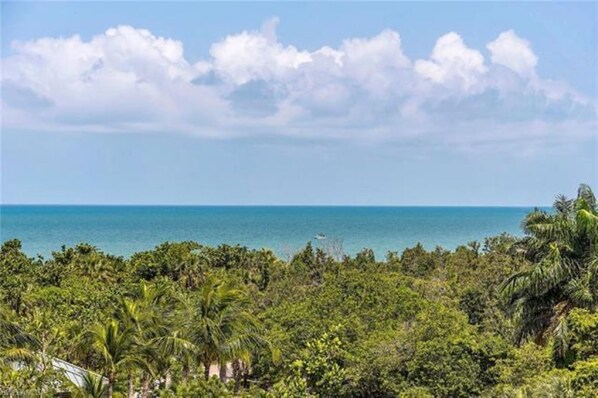 A coastal landscape with dense tropical vegetation and a view of the ocean.