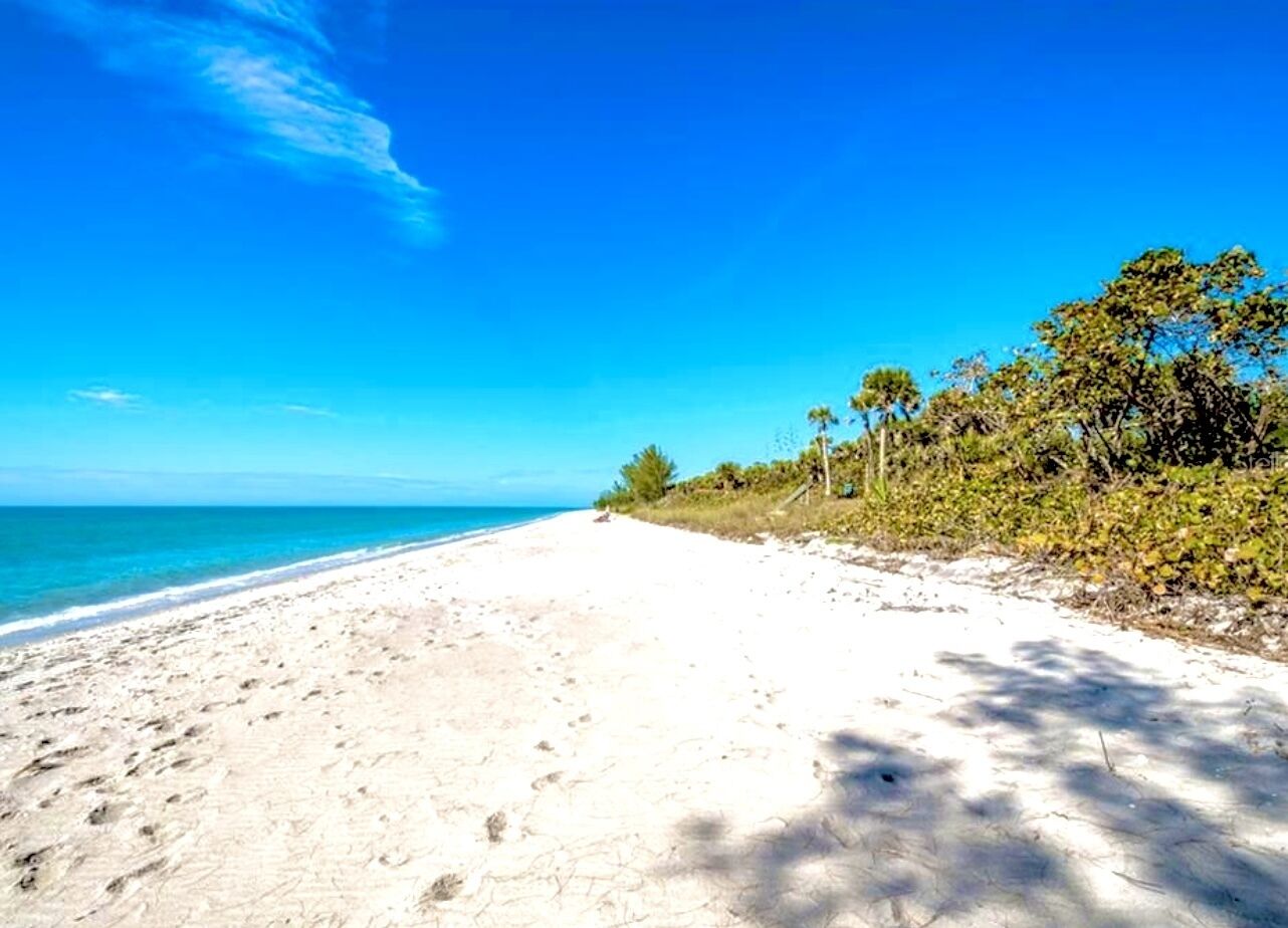 Cozy Cottage - Steps to private Beach - Full Kitchen, Dog Friendly, Stump Pass!