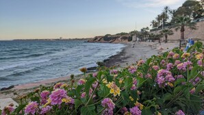 A beach with flowers in the foreground, a sandy shore, and a rocky coastline. - OASIS BEACH apartments (Torrevieja)