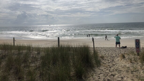 Strand
