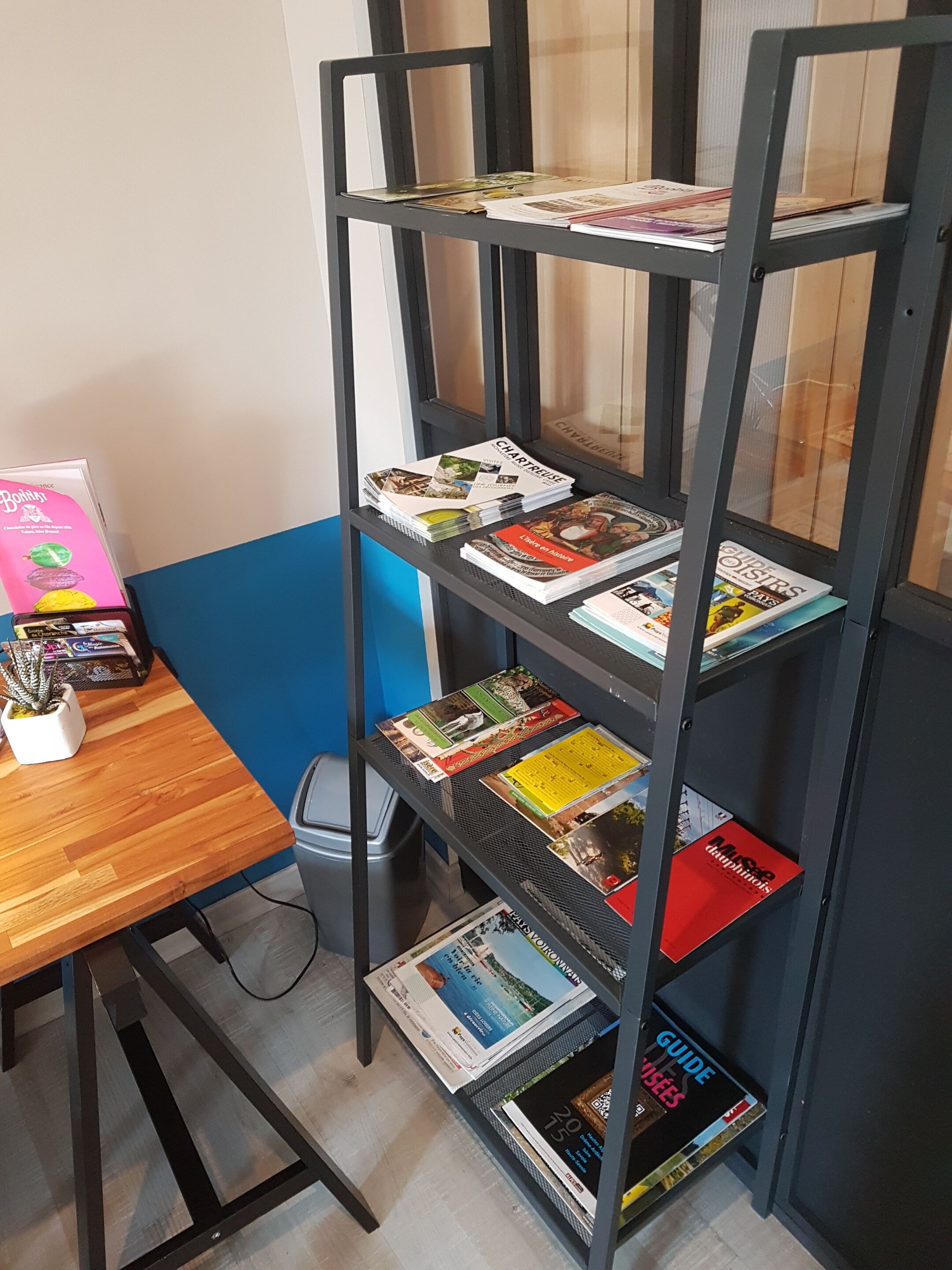 A metal bookshelf with travel books and a small table with a potted plant.