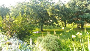 A lush garden with various plants and trees, a grassy area with flowers, and a small pond.