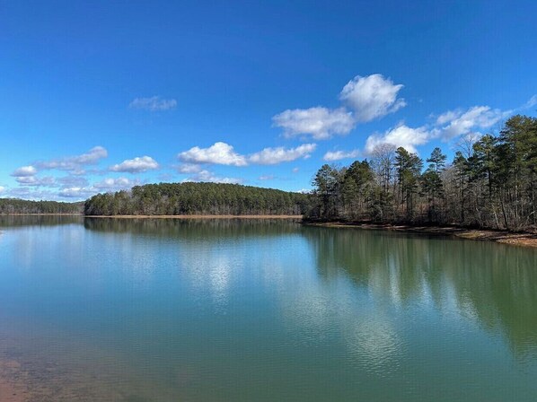 A calm lake with a forested shoreline and clear blue sky. - "Lake Hartwell, Waterfront Cottage with Views, near Clemson" (Townville)