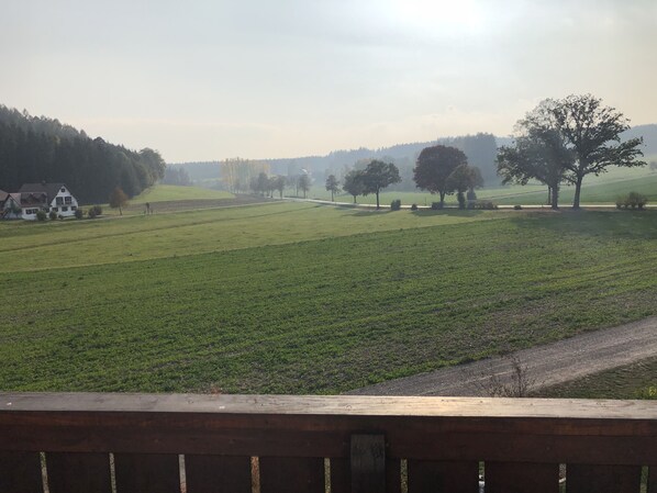A rural landscape with a house, open fields, and trees.