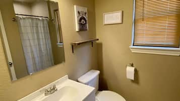 Combined shower/tub, hair dryer