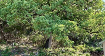 Hunter's Ridge Cabins - 2