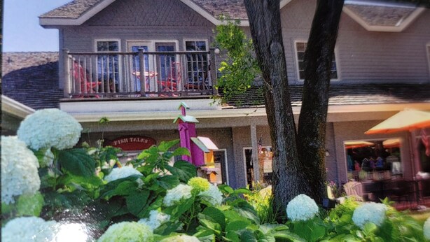A building with a balcony, a storefront, and a tree in the foreground.