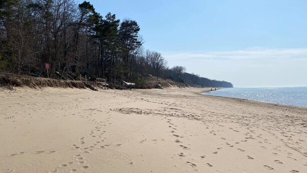 A sandy beach with footprints, a clear sky, and a forested area in the background.