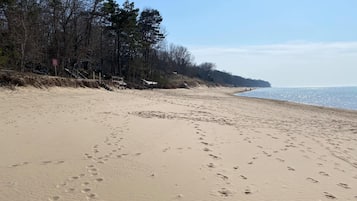 Plage à proximité, chaises longues, serviettes de plage