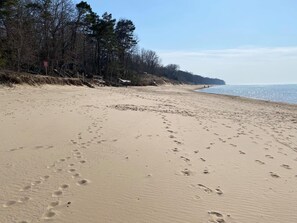 A sandy beach with footprints, a clear sky, and a forested area in the background.