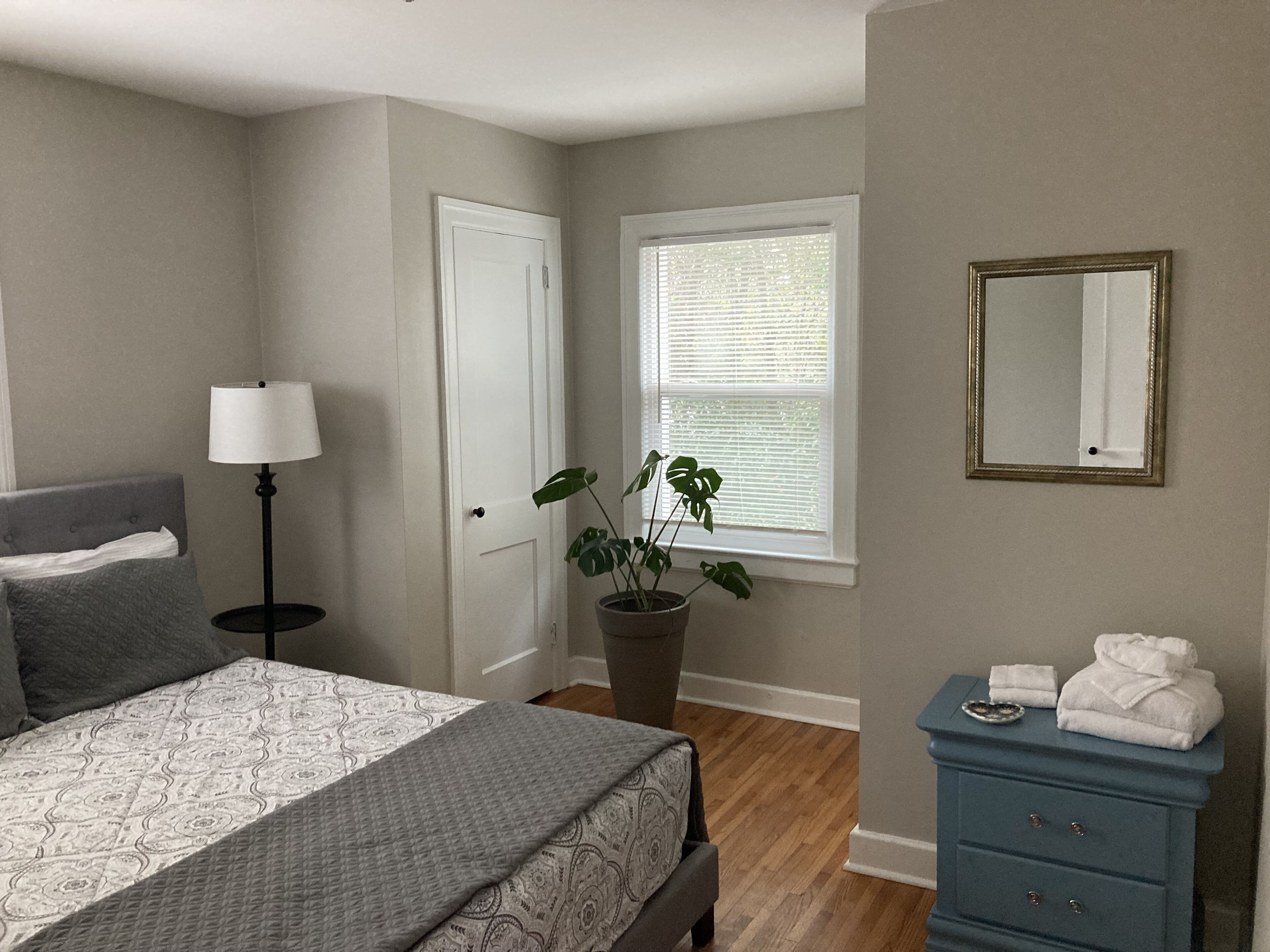 Un dormitorio con cama, lámpara de noche, planta en maceta, cómoda y espejo.
