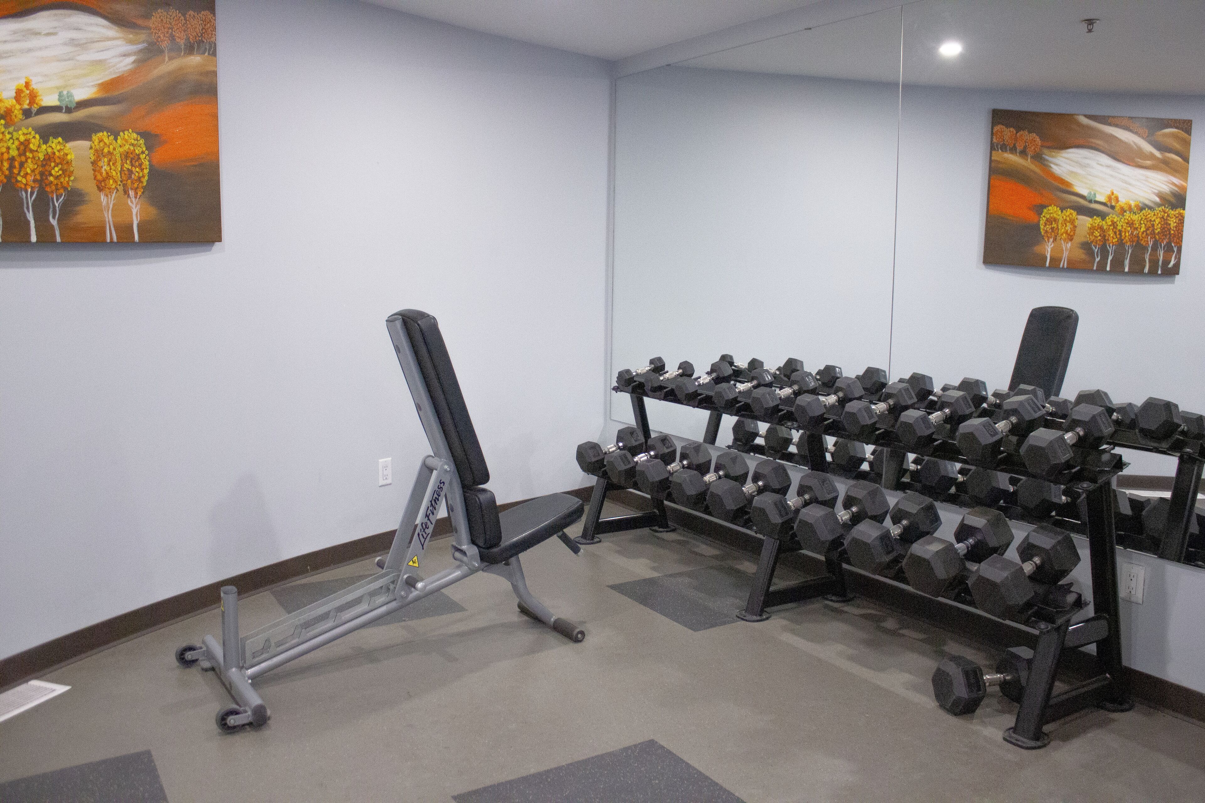 A gym with exercise equipment, including dumbbells and a bench.
