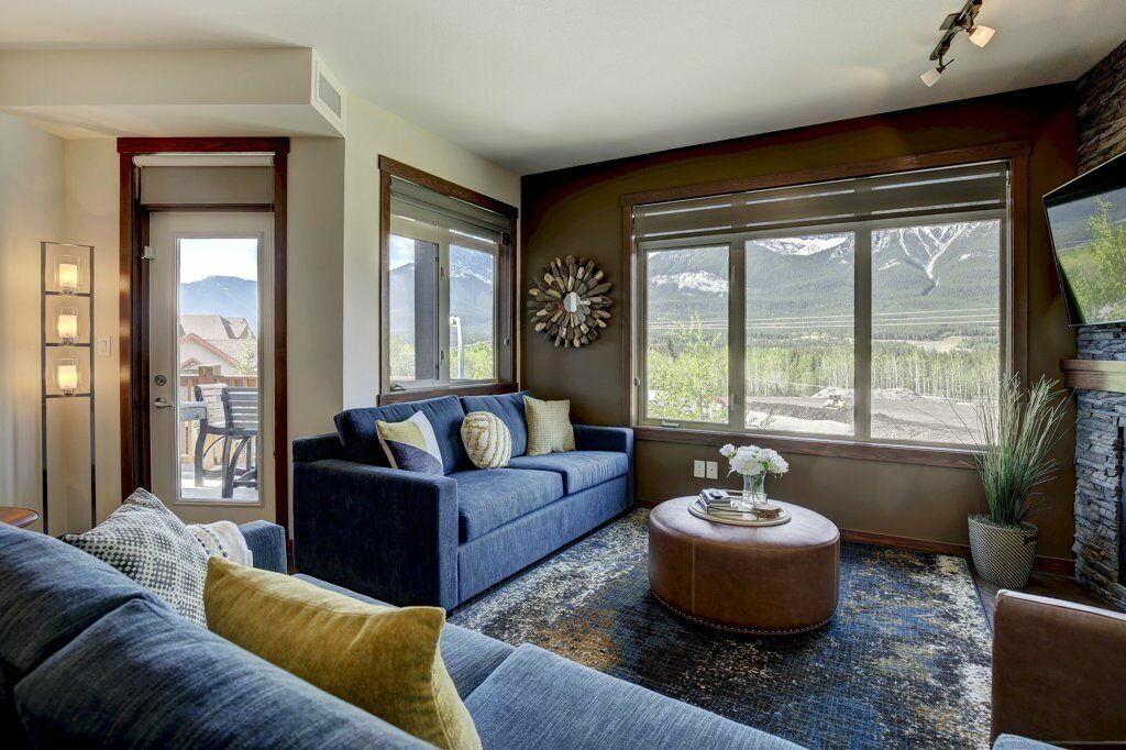 TV, fireplace, books