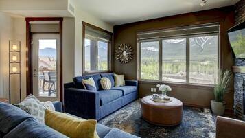 TV, fireplace, books