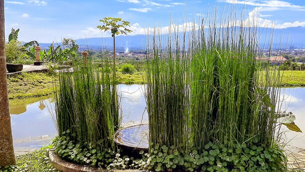 豪華別墅 | 湖景