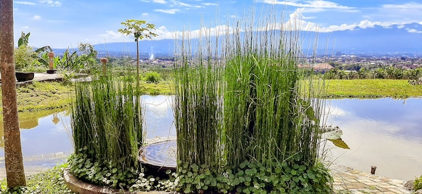 Vila Deluks | Pemandangan danau