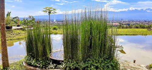 Villa Kebon Jeruk Syariah Malang by ecommerceloka