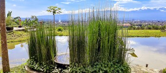 Villa Kebon Jeruk Syariah Malang by ecommerceloka