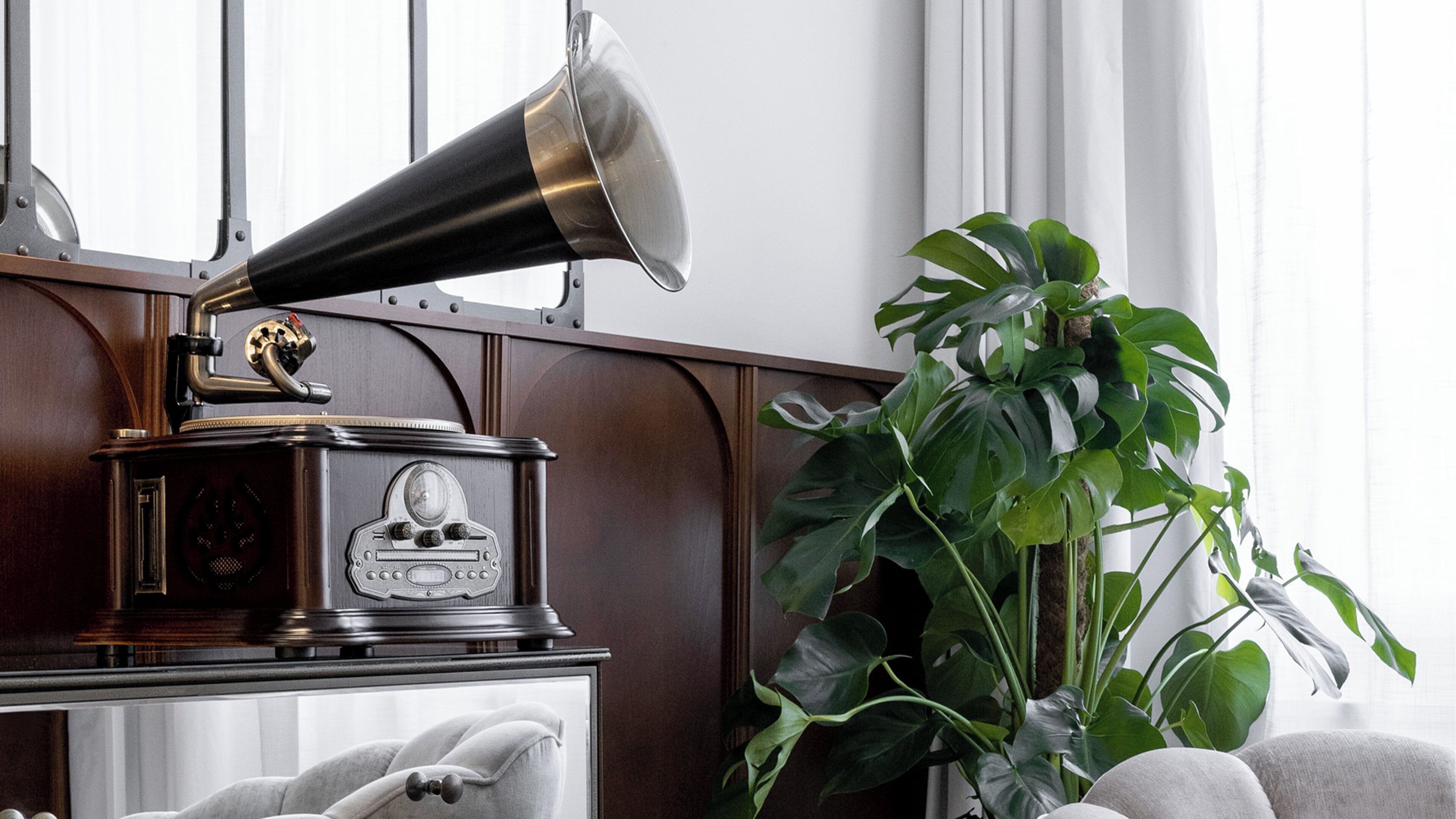 Un vieux gramophone posé sur un meuble en bois, une grande plante verte et une fenêtre avec des rideaux.