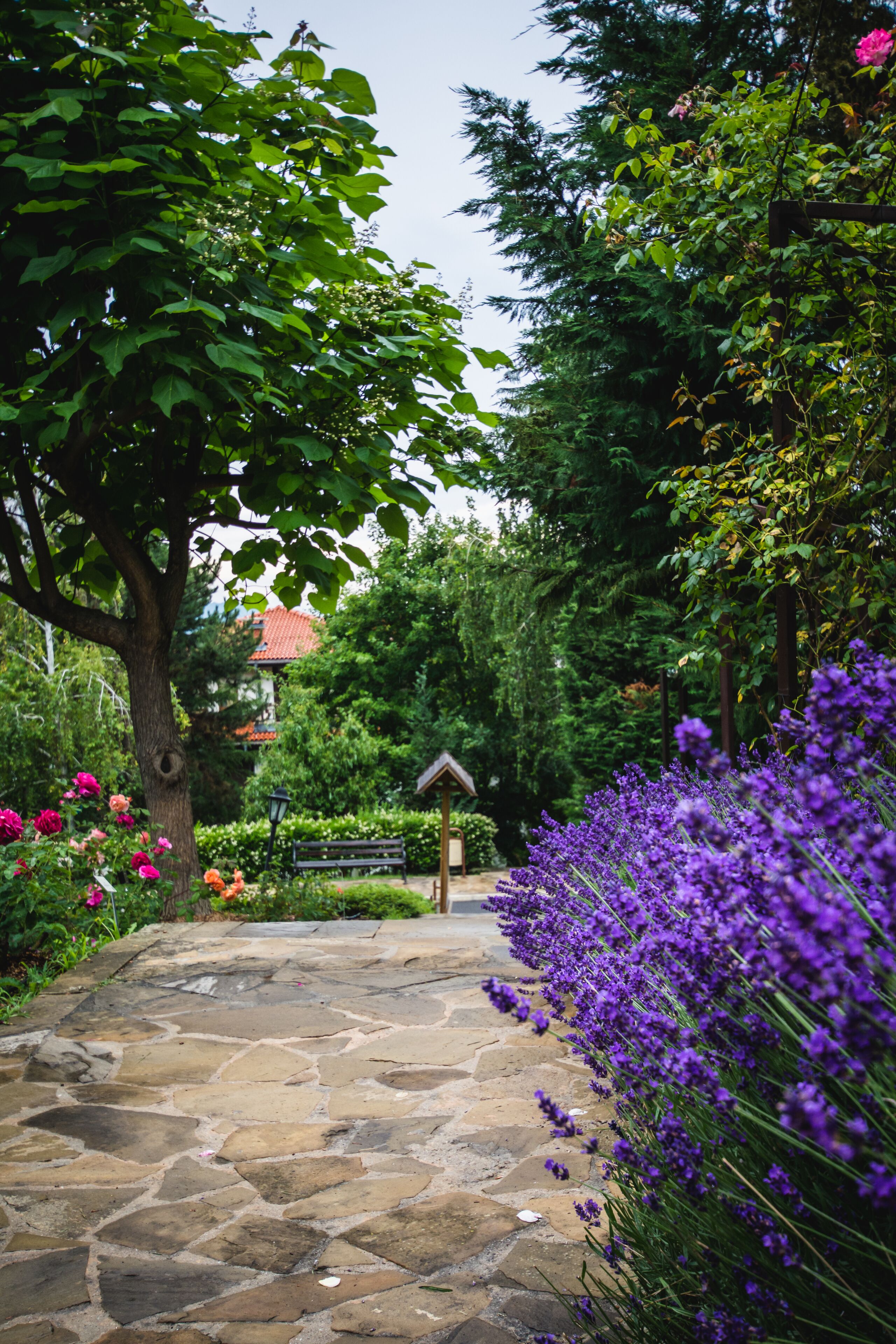 Jardim