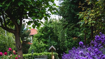 Jardim