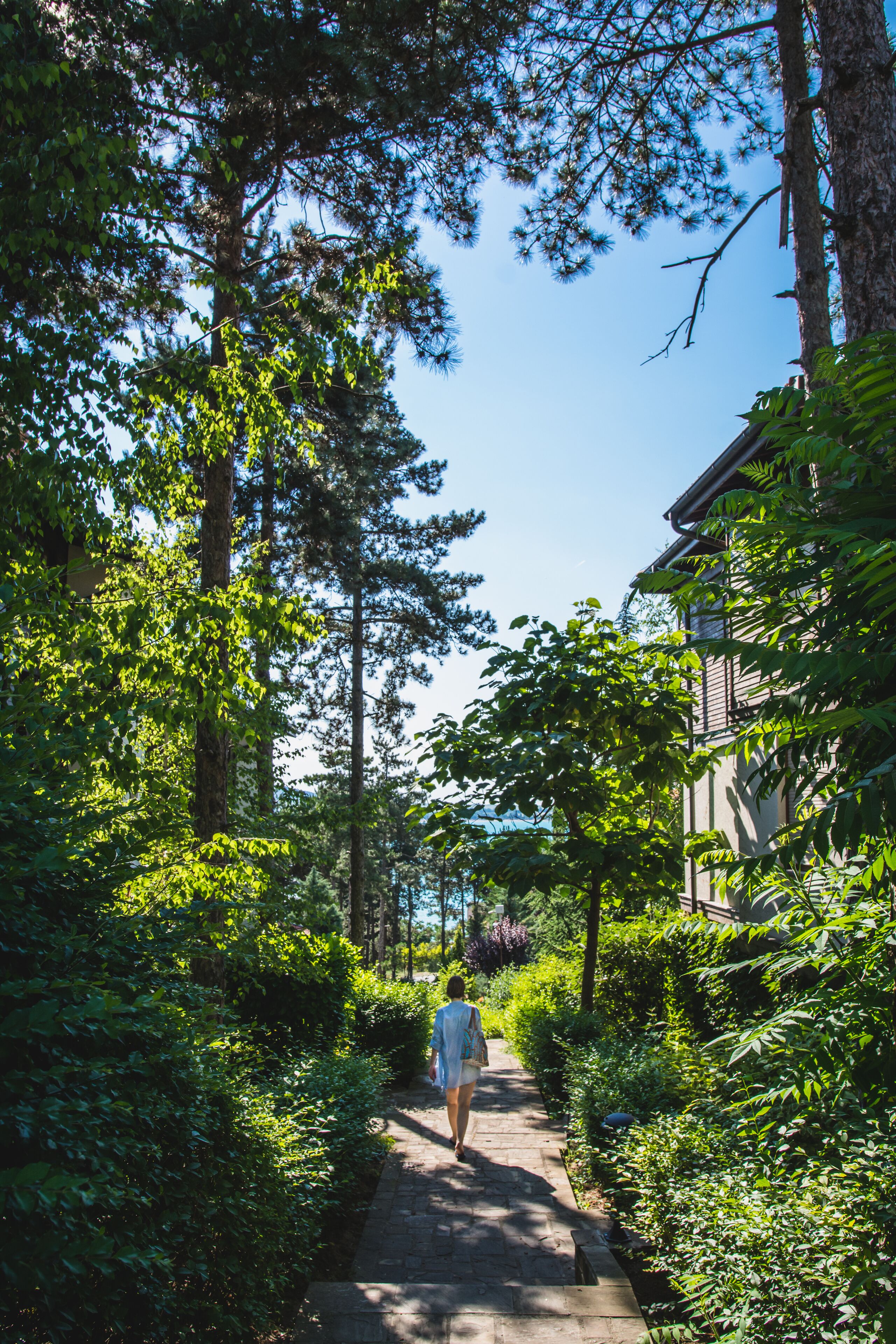 A pathway flanked by lush greenery and tall trees, leading towards a building with a visible entrance.