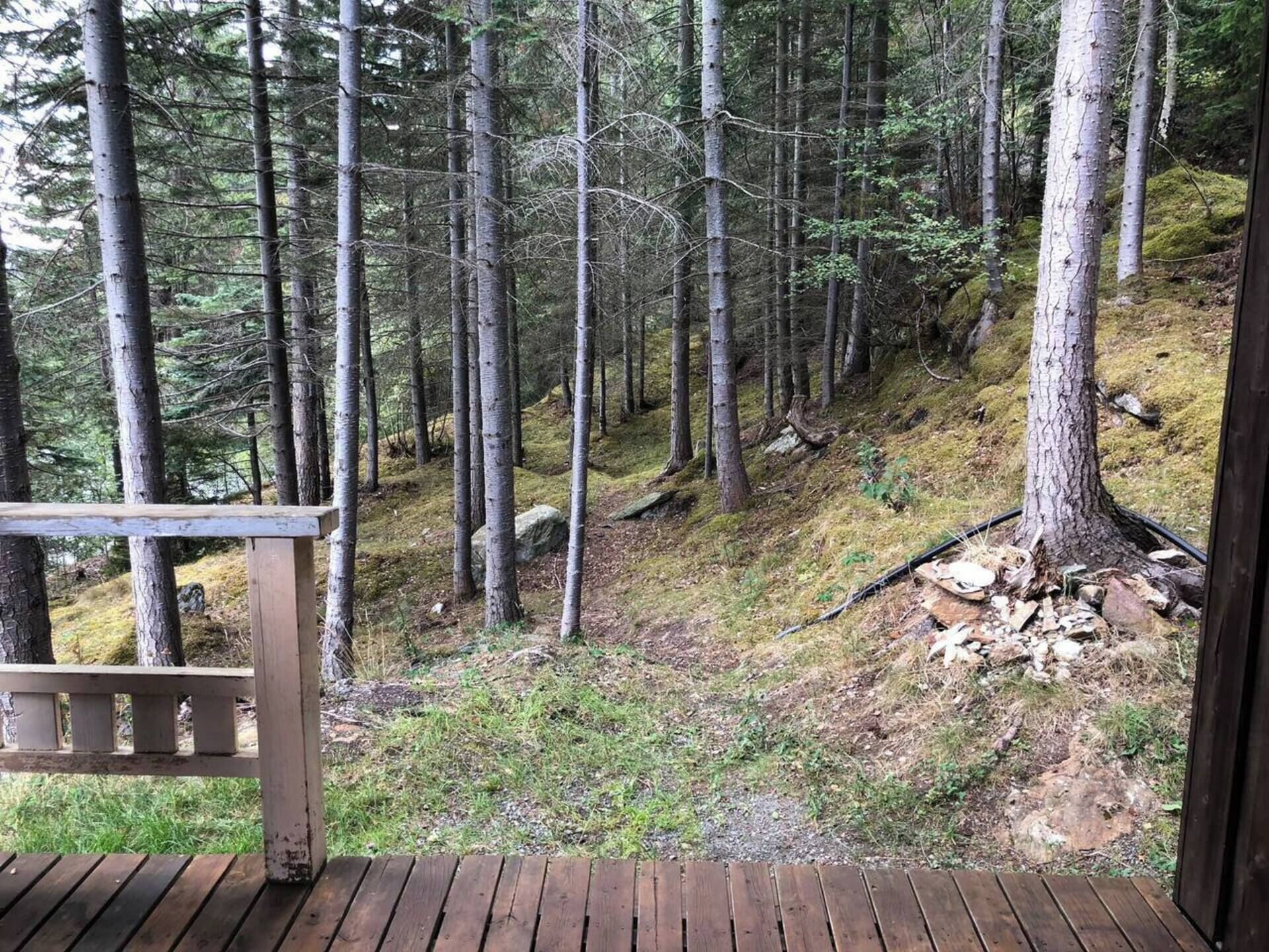 A wooden deck with a view of a forested hillside.
